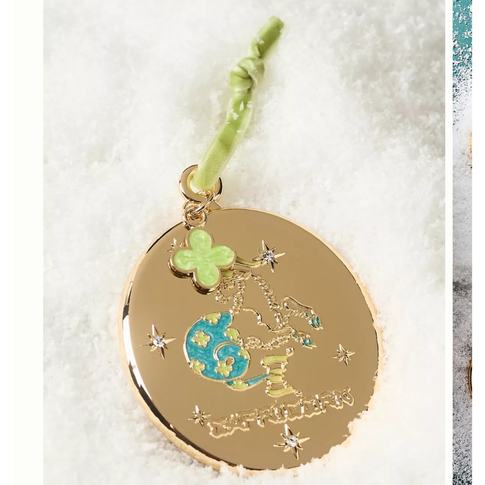 New‎ Lou Benesch x Anthropologie Stargazer Zodiac Ornament Capricorn